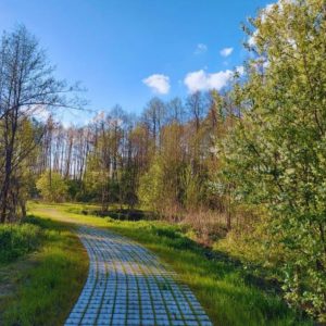 Zielone tereny w ośrodku Zielona Olcha w Pawłowicach