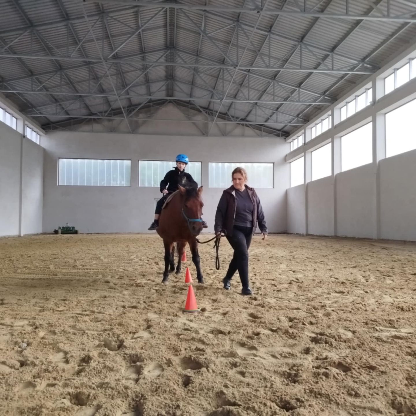 zajęcia hipoterapii w zielona olcha w pawłowicach